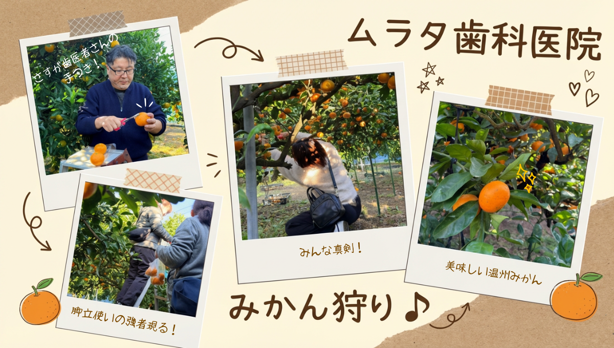 ムラタ歯科医院 みかん狩り