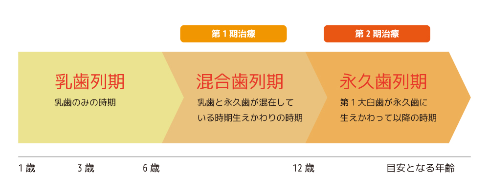 2段階矯正治療